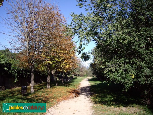 L'entorn del Santuari, a la tardor (Foto: Joan Sánchez Sabé, 2006) L'entorn del Santuari, a la tardor