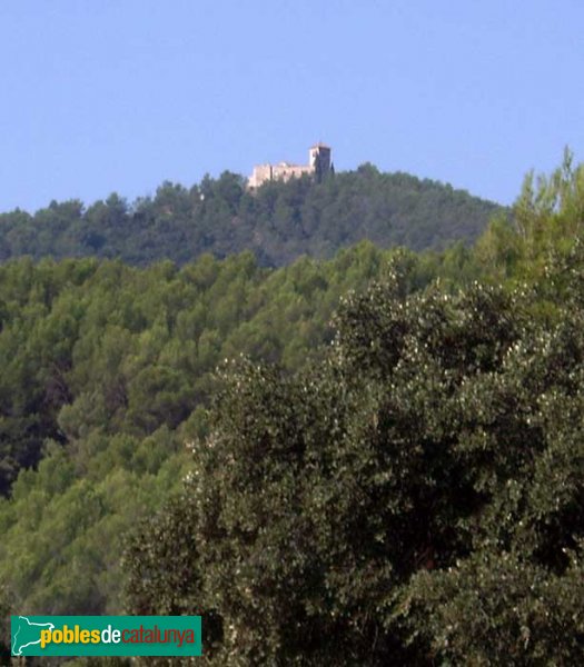 El Puig de la Creu, vist des de més amunt de Can Senosa (Foto: Joan Sánchez Sabé, 2007) El Puig de la Creu, vist des de més amunt de Can Senosa