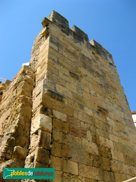 Tarragona - Castell del Rei o de Pilat (Torre del Pretori) (Foto: Albert Esteves, 2007) Tarragona - Castell del Rei o de Pilat (Torre del Pretori)