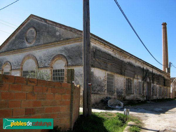Constantí - Molí de Reus (Foto: Albert Esteves, 2008) Constantí - Molí de Reus