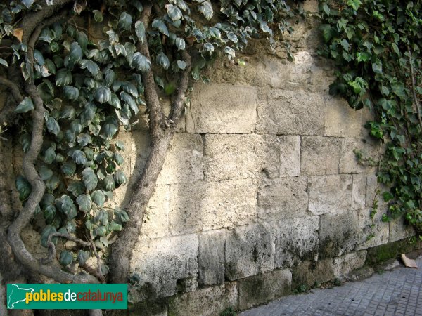 Capellades - Muralla (Foto: Albert Esteves, 2009) Capellades - Muralla