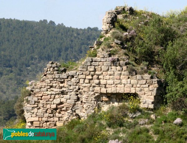 Jorba - Castell (Foto: Albert Esteves, 2009) Jorba - Castell