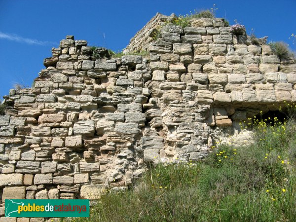 Jorba - Castell (Foto: Albert Esteves, 2009) Jorba - Castell