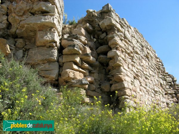 Jorba - Castell (Foto: Albert Esteves, 2009) Jorba - Castell