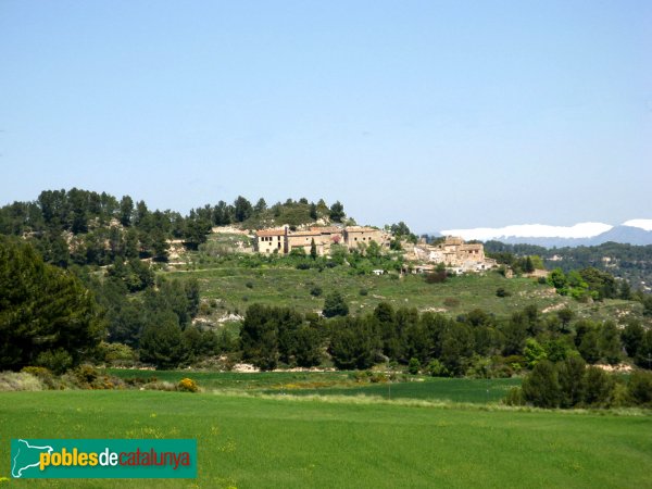 Sant Martí de Tous - Fillol (Foto: Albert Esteves, 2009) Sant Martí de Tous - Fillol