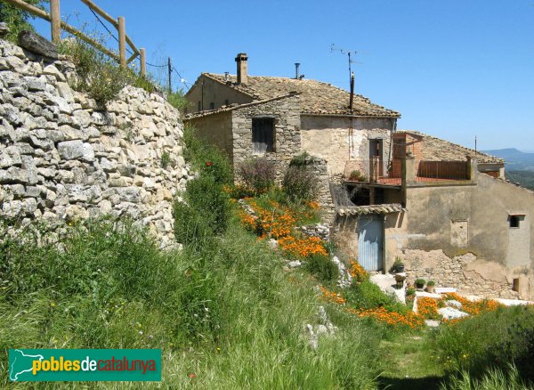 Sant Martí de Tous - Fillol (Foto: Albert Esteves, 2009) Sant Martí de Tous - Fillol
