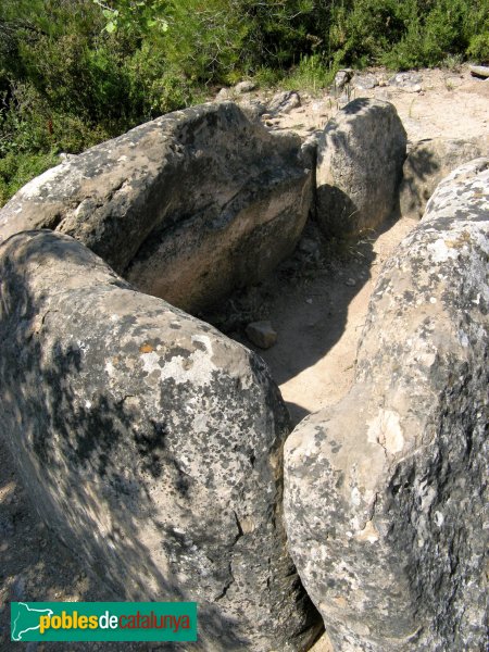Rubió - Dolmen dels Tres Reis (Foto: Albert Esteves, 2009) Rubió - Dolmen dels Tres Reis