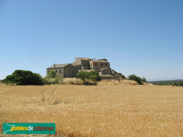 Veciana - La Rubiola (Foto: Albert Esteves, 2009) Veciana - La Rubiola