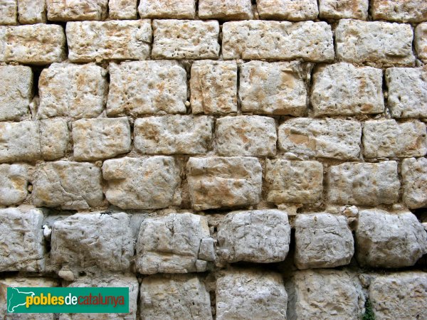 Barberà de la Conca - Castell de Barberà (Foto: Albert Esteves, 2009) Barberà de la Conca - Castell de Barberà