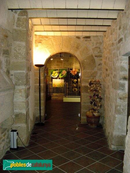 Santa Coloma de Queralt - Castell