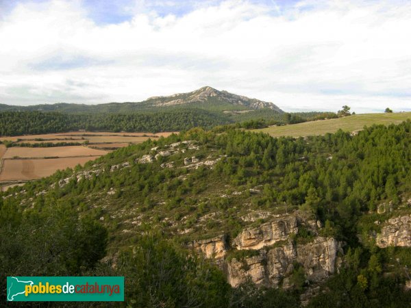 Pontils - Panoràmica des del castell de Vallespinosa (Foto: Albert Esteves, 2009) Pontils - Panoràmica des del castell de Vallespinosa