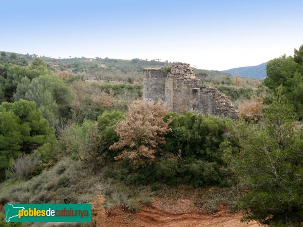 Sarral - Sant Pere d'Anguera (Foto: Albert Esteves, 2010) Sarral - Sant Pere d'Anguera