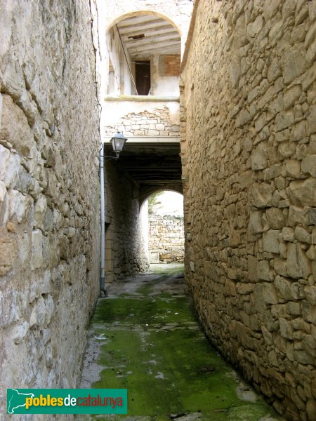 Passanant - Voltes i portals (Foto: Albert Esteves, 2010) Passanant - Voltes i portals