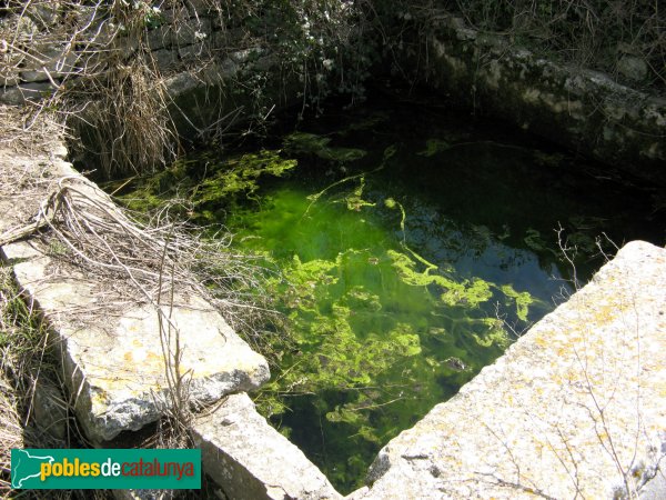 La Sala de Comalats - Safareigs (Foto: Albert Esteves, 2010) La Sala de Comalats - Safareigs