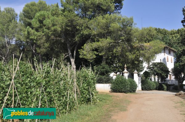 Casa d'estiueig de Can Duran: hort amb mongeteres del ganxet (Foto: Joan Sánchez Sabé, 2010) Casa d'estiueig de Can Duran: hort amb mongeteres del ganxet