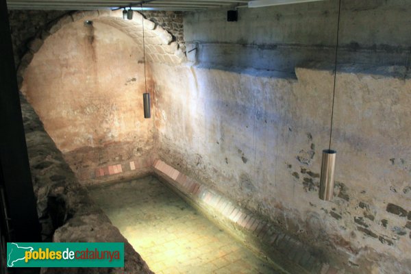 Arbúcies - Castell de Montsoriu, diosit d'aigua (Foto: Albert Esteves, 2011) Arbúcies - Castell de Montsoriu, diosit d'aigua