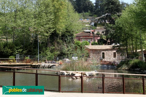 Arbúcies - Bassa de la Farga (Foto: Albert Esteves, 2011) Arbúcies - Bassa de la Farga