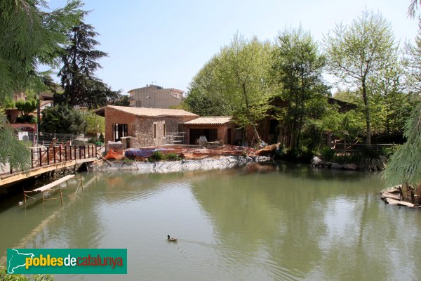 Arbúcies - Bassa de la Farga (Foto: Albert Esteves, 2011) Arbúcies - Bassa de la Farga