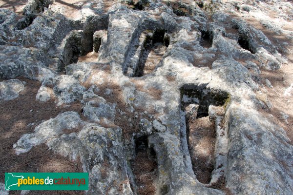 Olèrdola - Necròpolis del Pla dels Albats (Foto: Albert Esteves, 2012) Olèrdola - Necròpolis del Pla dels Albats