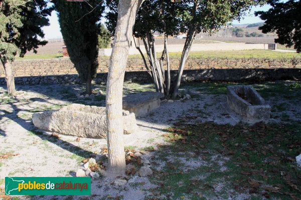 Olèrdola - Necròpolis de Sant Pere Molanta (Foto: Albert Esteves, 2013) Olèrdola - Necròpolis de Sant Pere Molanta