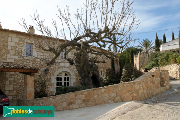 Olèrdola - Viladellops (Foto: Albert Esteves, 2013) Olèrdola - Viladellops