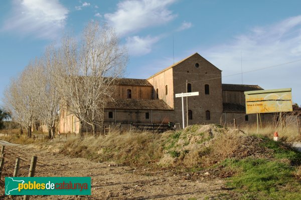 Torrelles de Foix - La Mussarra, celler