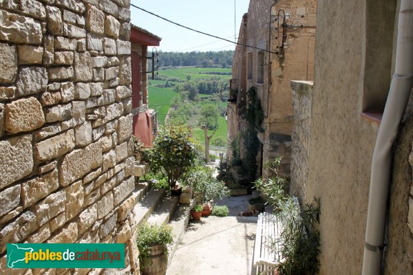 Montoliu - Cabestany (Foto: Albert Esteves, 2014) Montoliu - Cabestany