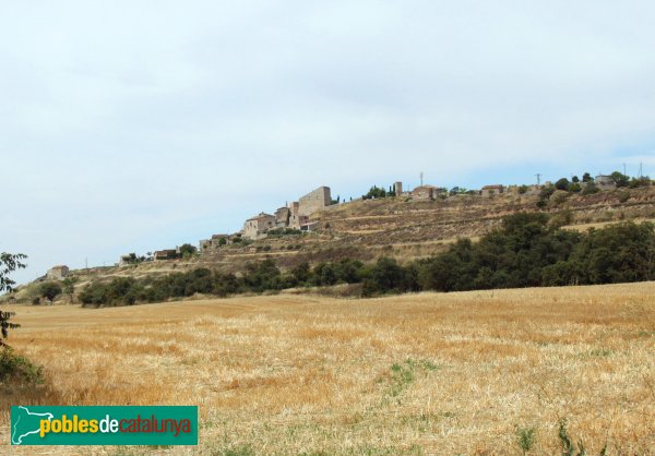 Granyanella - Fonolleres (Foto: Albert Esteves, 2014) Granyanella - Fonolleres