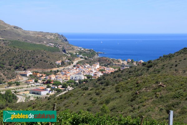 Colera (Foto: Albert Esteves, 2014) Colera