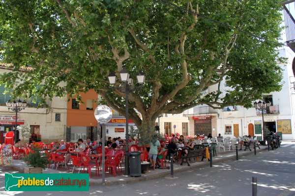 Colera - Plaça de Pi i Margall, amb l'arbre monumental (Foto: Albert Esteves, 2014) Colera - Plaça de Pi i Margall, amb l'arbre monumental