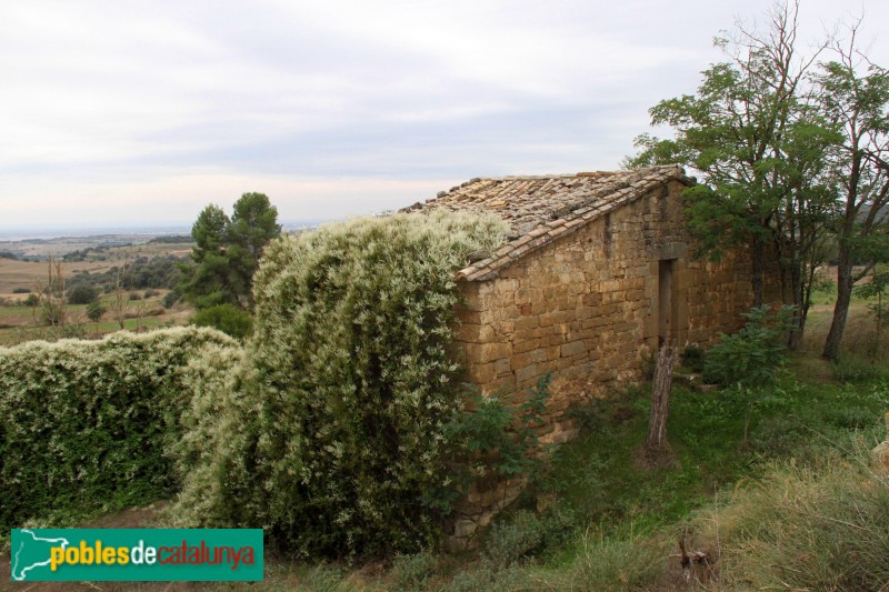 Florejacs - Cal Coma (Foto: Albert Esteves, 2014) Florejacs - Cal Coma