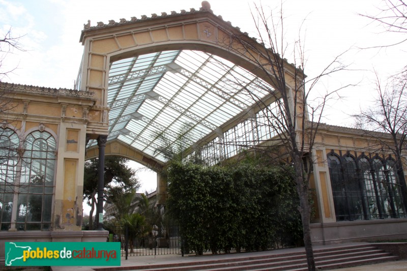 Barcelona - Parc de la Ciutadella. Hivernacle (Foto: Albert Esteves, 2015) Barcelona - Parc de la Ciutadella. Hivernacle