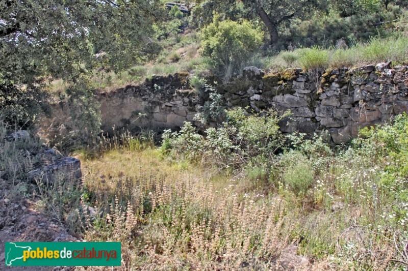 Torà - Figuerola, bassa (Foto: Albert Esteves, 2015) Torà - Figuerola, bassa