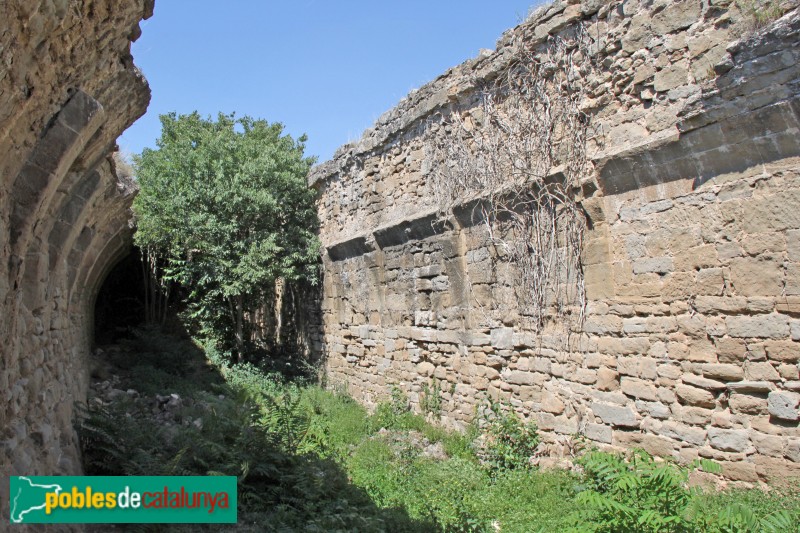 Guissona - Palau de Fluvià