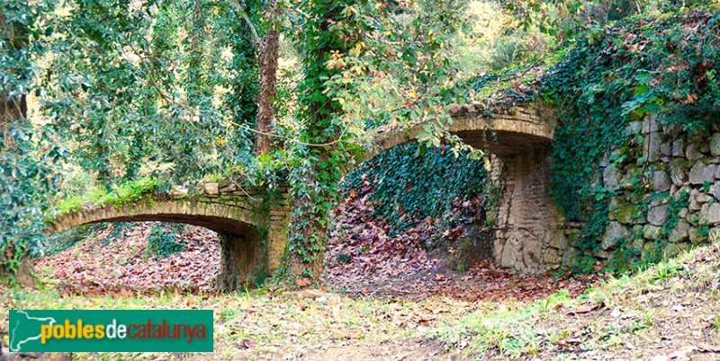 Dosrius - Pou de gel (Foto: <i>Alfons Martín</i>, 2015) Dosrius - Pou de gel