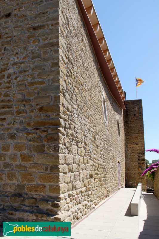 Vilopriu - Castell de Vilopriu (Foto: 2016) Vilopriu - Castell de Vilopriu