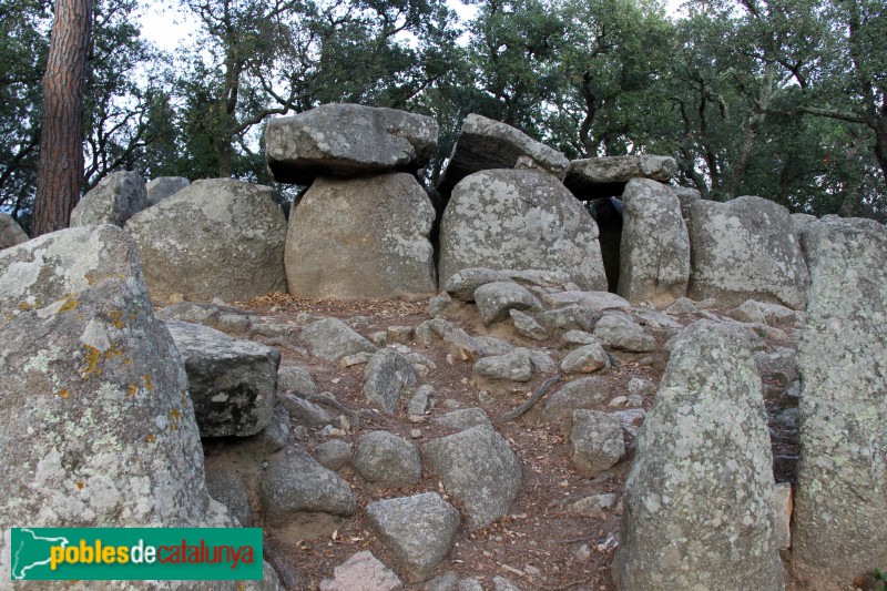 Santa Cristina d'Aro - Cova d'en Daina