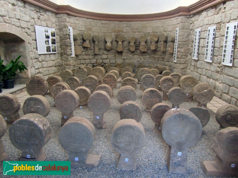 Sanaüja - Esteles dicoïdals