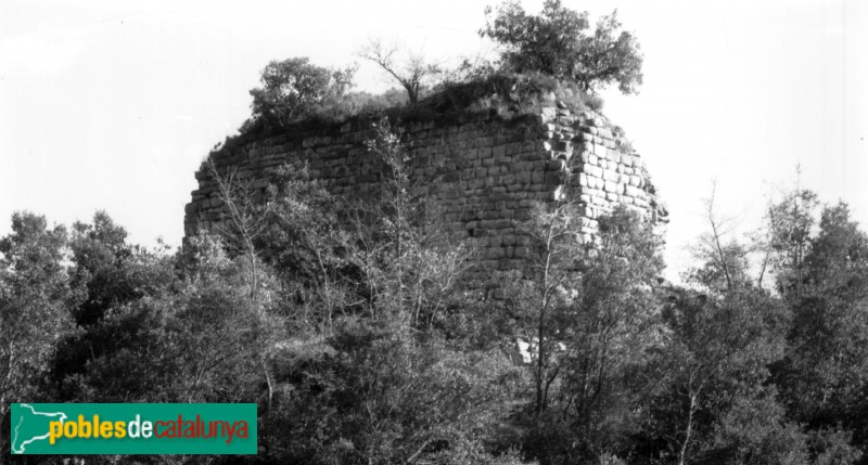Vilanova de Sau - Domus del Pi (Foto: <i>Pere Català -Invarquit, Gencat.cat-</i>, 1965) Vilanova de Sau - Domus del Pi