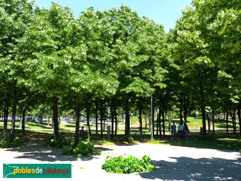 Parc (Foto: Graciel·la Vidal, 2018) Parc