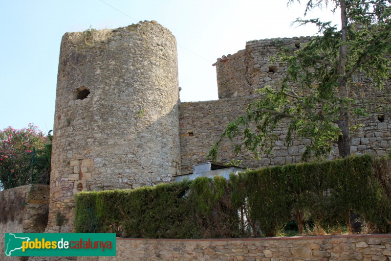 Palau-sator - Muralla (Foto: Albert Esteves, 2018) Palau-sator - Muralla