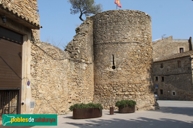 Palau-sator - Muralla, sector de ponent (Foto: Albert Esteves, 2018) Palau-sator - Muralla, sector de ponent