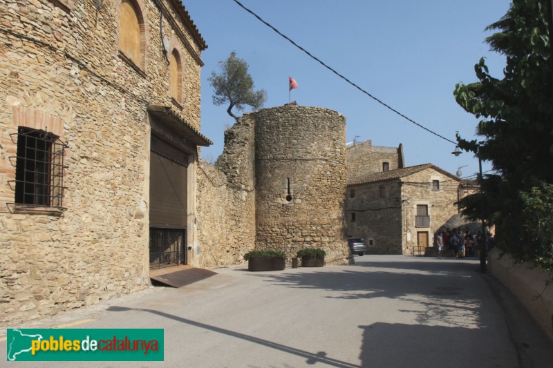 Palau-sator - Muralla, sector de ponent (Foto: Albert Esteves, 2018) Palau-sator - Muralla, sector de ponent