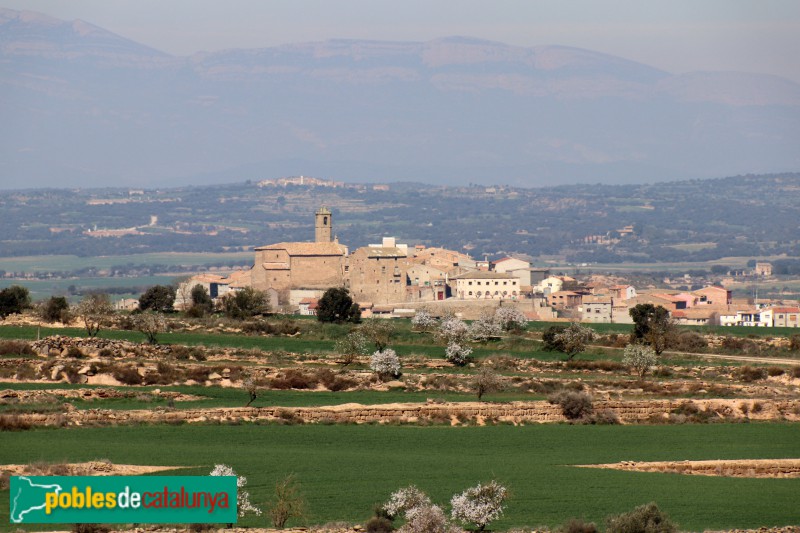 Puigverd d'Agramunt - Nucli antic