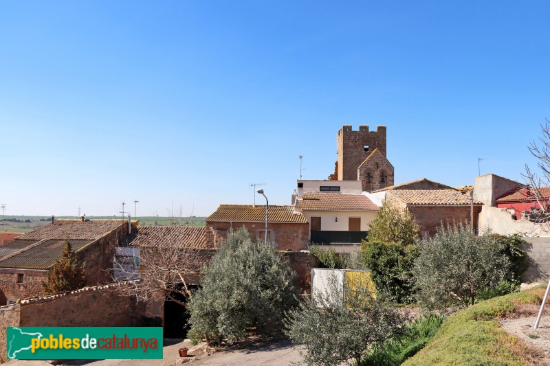 Ossó de Sió - Montfalcó d'Agramunt (Foto: Albert Esteves, 2019) Ossó de Sió - Montfalcó d'Agramunt