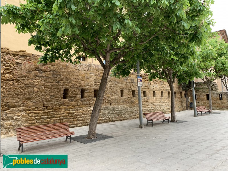 La Bisbal d'Empordà - Muralla exterior del castell (Foto: Albert Esteves, 2019) La Bisbal d'Empordà - Muralla exterior del castell