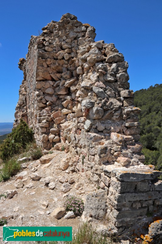 Aiguamúrcia - Castell de Selma (Foto: Albert Esteves, 2019) Aiguamúrcia - Castell de Selma