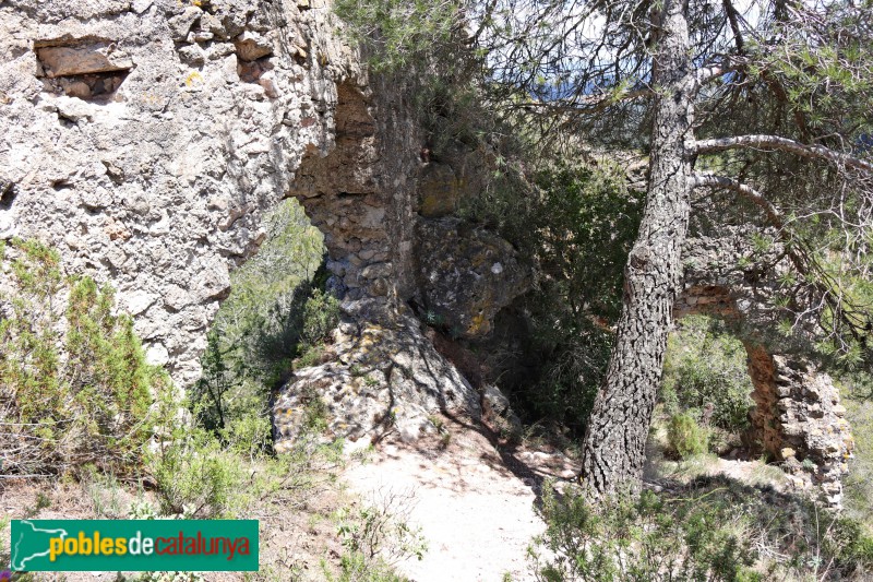 Aiguamúrcia - Castell de Selma (Foto: Albert Esteves, 2019) Aiguamúrcia - Castell de Selma