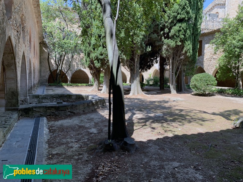 Monestir de Santes Creus - Claustre posterior (Foto: Albert Esteves, 2019) Monestir de Santes Creus - Claustre posterior