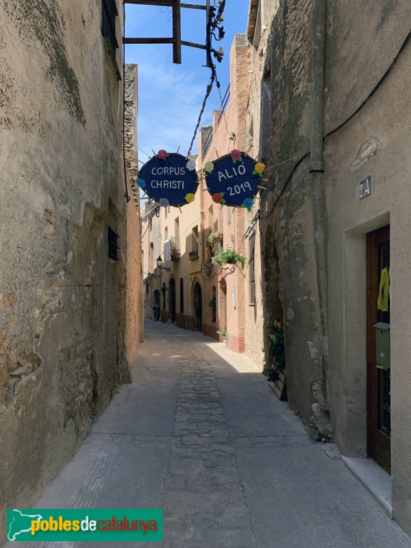 Alió - Carrer Major (Foto: Albert Esteves, 2019) Alió - Carrer Major